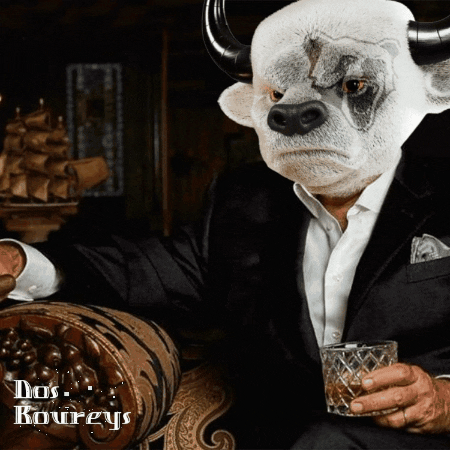 Dos Equis Nft GIF by Copperstone