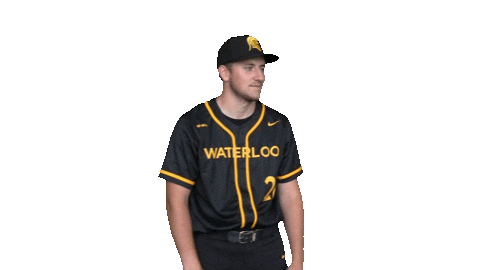 University Of Waterloo Win Sticker by Waterloo Warriors