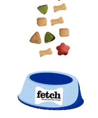 Fetchbirthday Sticker by fetchlovespets