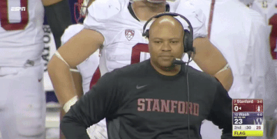 stanford football ncaa GIF by ESPN College Football