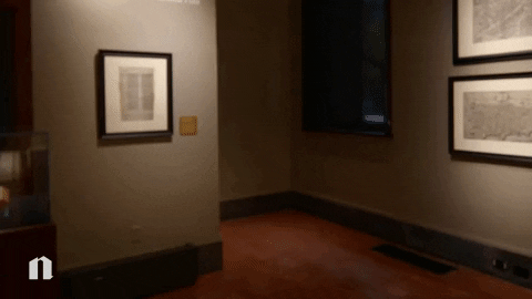 Cannon Renaissance GIF by Newberry Library