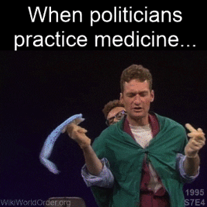 wikiworldorder giphyupload comedy mask politics GIF