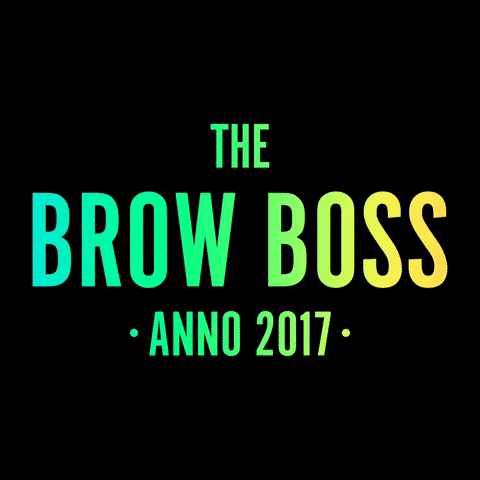 thebrowbossnl boss browboss thebrowboss GIF
