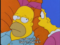 homer simpson GIF