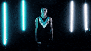 Australian Rules Football Goal GIF by Port Adelaide FC