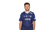Holstein Kiel Vbl Sticker by Bundesliga