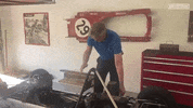 Car GIF by DriveTribe