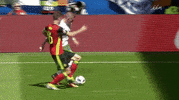 euro 2016 ireland GIF by Sporza