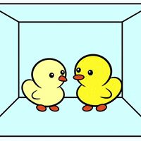 Duck Kiss GIF