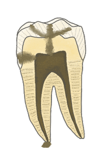 Odonto Dentistry Sticker