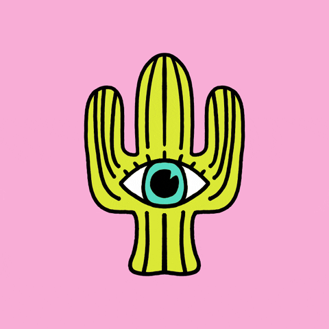 kaeraz_ giphyupload cactus desert omen GIF
