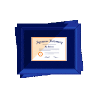 College Graduation Sticker by Syracuse University