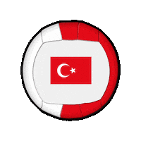 Ball Europe Sticker by Swiss Dodgeball