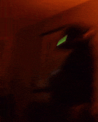 Dance Dancing GIF