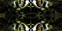 GIF by Leo Pyrata