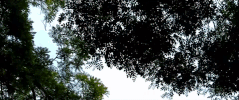 capital of china beijing GIF