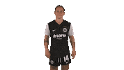 Swipe Sge Sticker by Eintracht Frankfurt