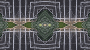 Art Film GIF by jorgemariozuleta