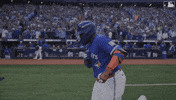 Celebrate Home Run GIF by Toronto Blue Jays
