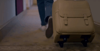 travel india GIF by bypriyashah
