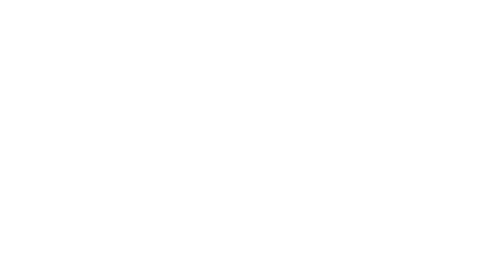 Team Spine Sticker by Paley Institute