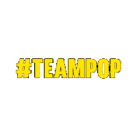 Festival Monterrey Sticker by Nortex