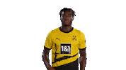 Football Sport Sticker by Borussia Dortmund