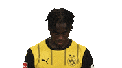 Look Up Borussia Dortmund Sticker by Bundesliga