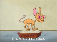 ren and stimpy nicksplat GIF