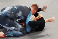 Bjj Grappling GIF