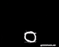 zoomadlabs gym strong monkey caffeine GIF