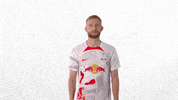 Football Soccer GIF by RB Leipzig