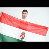 Fogarasi Gabor GIF by Jobbik Magyarországért Mozgalom