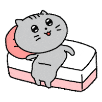 rinzzang cat morning bad lazy Sticker