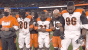 Regular Season Football GIF by NFL