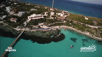 Isla Mujeres Ocean GIF by Dolphin Discovery