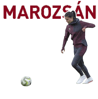 world cup football Sticker by PUMA