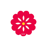 Flores Agua Sticker by Bonafont Mexico