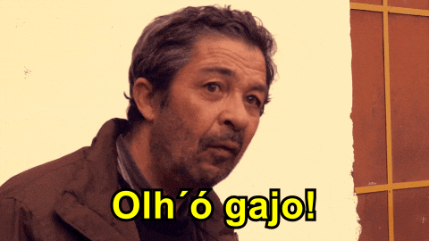 Indie Film Comedy GIF by O Velho e a Espada
