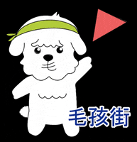 mohiguide dog mohi mohiguide GIF