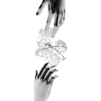 Dyan Dylan Fuentes Sticker by Tainy