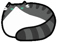 Cat Kitty Sticker