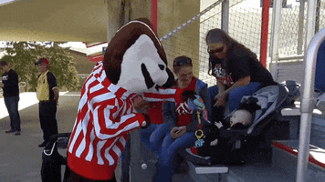 Wisconsin Badgers GIF by uwmadison