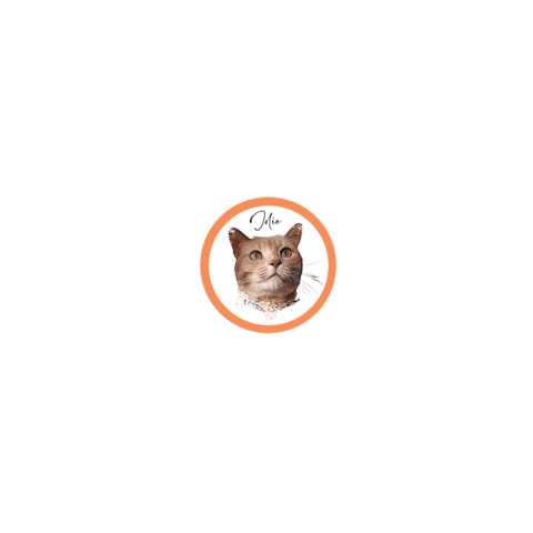 Pyp123 Sticker by Pimp Yo Pets
