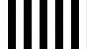 Presentation Sksturm GIF by SK Sturm Graz