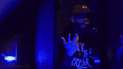 d2lp hello annoyed oops stupid GIF