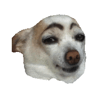 Dog Sticker by imoji