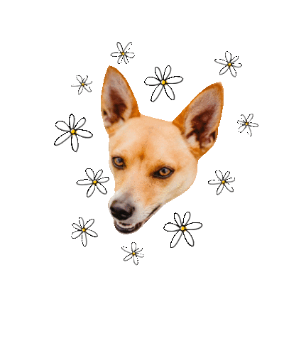 Dog Puppy Sticker