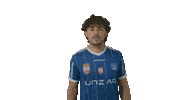 Blau Weiss Football Sticker by FC Blau Weiß Linz