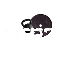 CTP3 para triathlon corrida ct Sticker